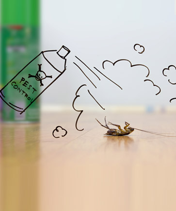 how to control pests in your home