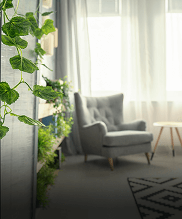 Simple Ways To Make Your Apartment More Eco-Friendly