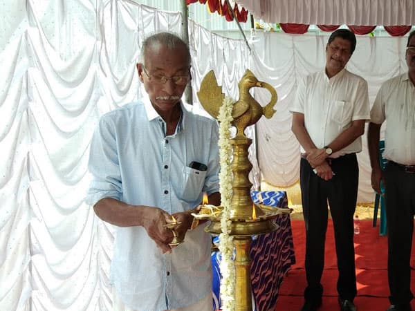 Confident Greenfield