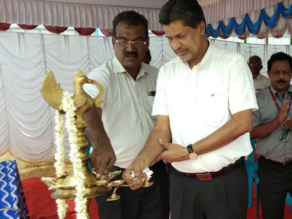 Confident Greenfield