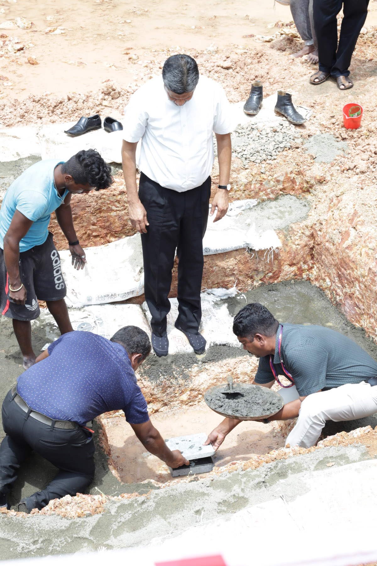 confident blueberry bhumipooja